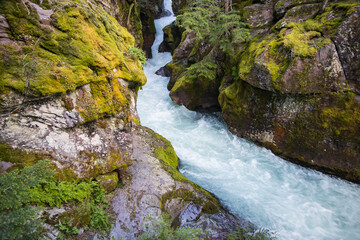 Lower Avalanche Gorge, Glacier National Park, Montana