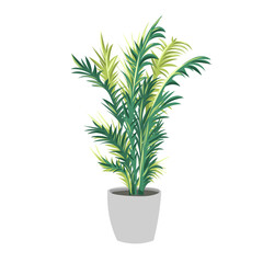 Fototapeta premium Palm. Trendy potted plants for home. Different indoor houseplants isolated on white background. 