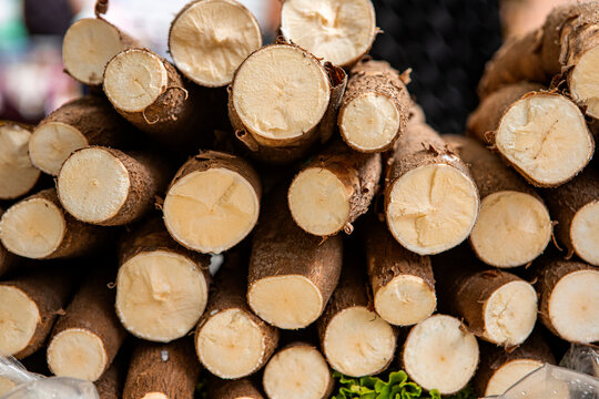 , manioc, yuca, macaxeira, mandioca and aipim