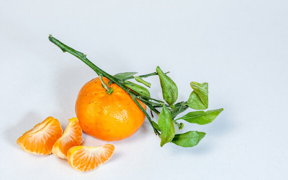 Satsuma Stem and Leaf Tangerine with Peeled Segments