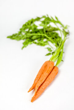 Organic Carrot Bunch with Tops