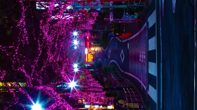 A night timelapse of the illuminated street in Shibuya vertical shot panning