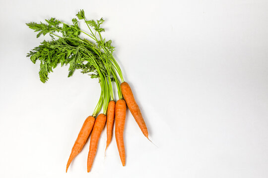 Organic Carrot Bunch with Tops