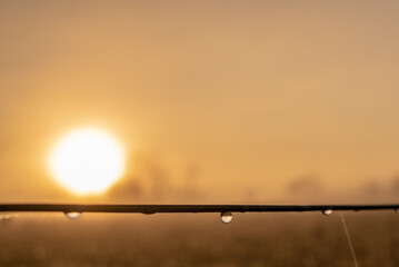 Amanecer rural. 