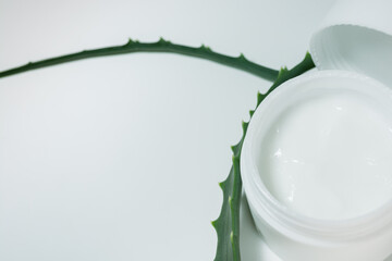 The white box with the cream is surrounded by the leaves of the aloe plant.