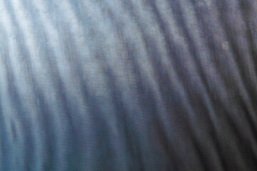 abstract colored blurred wavy background from defocused thin meshes