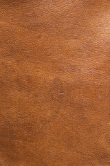 leather grunge background: an old piece of tough camel skin, with scuffs, spots, scars