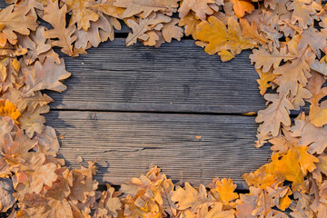 Yellow autumn leaves on the path in the park