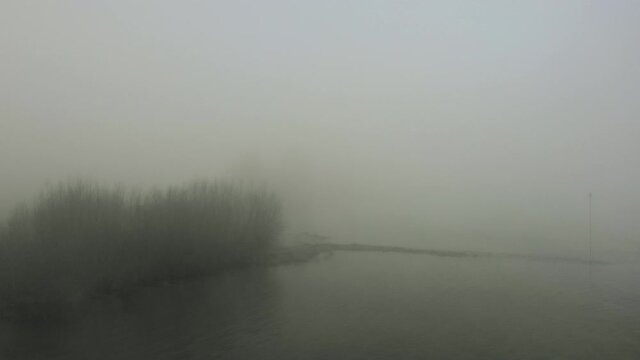 River and bare trees covered with fog, Brakel, Netherlands
