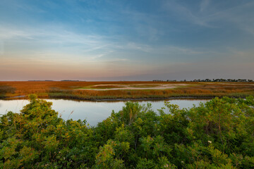 St. Marks Wildlife Refuge looking east as the sunsets in the west
