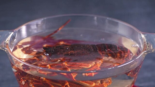Boiling cooking raw fresh Cape rock lobster, West Coast rock lobster, Jasus lalandii in a glass pot, close up, 4K UHD footage video.