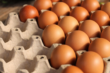 Brown eggs in paper trays For cooking