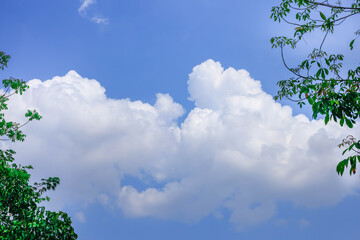 Beautiful blue sky with Leaf green puffy white clouds - in summer