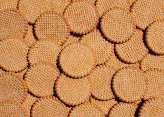 bunch of sugar coated hortbread cookie snacks treats arranged round cookies