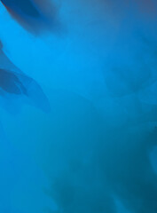 Trendy hipster wash backdrop. Colorful abstract illustration. Color gradient background for poster, wallpaper, banner, cover, booklet, website, brochure or pamphlet.