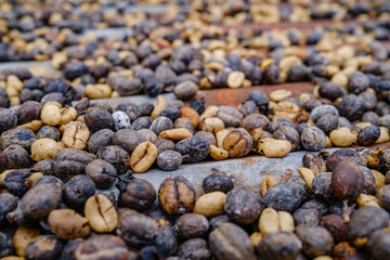Coffee beans 