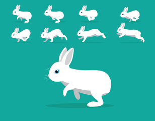 Animal Animation Sequence Rabbit Polish Cartoon Vector