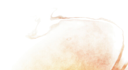 Abstract colorful watercolor on white background. Digital art painting.