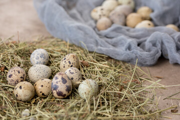 Still life. Quail eggs decorated with dry herbs and colored runner on a textured background. Rustic. Easter celebration concept.