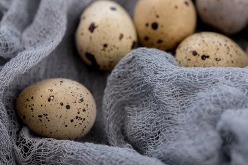 Still life. Quail eggs decorated with dry herbs and colored runner on a textured background. Rustic. Easter celebration concept.