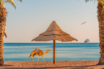 Morning on sandy beach of the Red Sea, Middle East