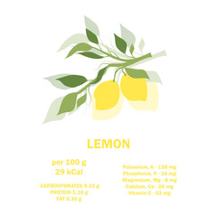 Infographic card about calories of lemon 100g. Vitamins, minerals and calorie content. Flat healthy food concept. Information about nutrition facts lemon fruit. Conceptual healthy nutrition card.