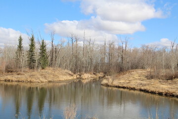 Open Creek, Pylypow Wetlands, Edmonton, Alberta