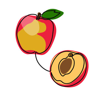 Sweet juicy peach in one line. Vector image. Kitchen design, poster, menu.
