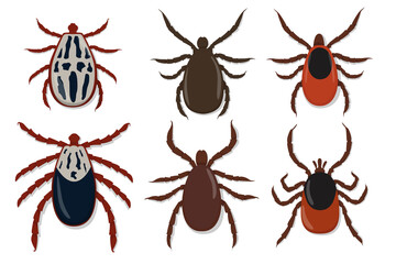 Insect vector, Mite vector, set Mite, Insect Mite.