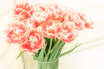 beautiful tulips in vase on white windowsill, toned