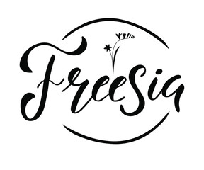 Hand sketched word freesia. Floral label. Suitable for ads, signboards, identity and wedding designs.