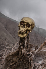 golden metal corpse on a dry tree branch in the middle of the dead forest with burned and dry trees overlooking the Turrialba volcano on a cloudy day