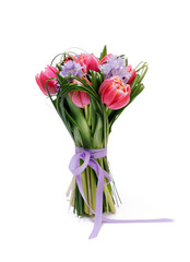 Beautiful red tulips iwith green grass and hyacinth isolated on white background
