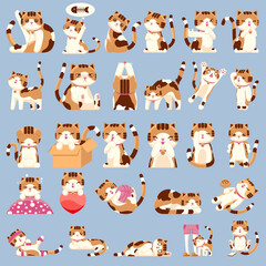 Set of Cute Calico Cat Character