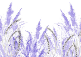 Fototapeta premium Watercolor card, greeting card with a picture of lavender, wild wildflowers, blue, purple, lilac. Greeting card, invitation. Vintage watercolor element. . Flowering meadow.Wheat ears, wheat field 