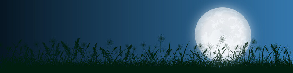 Obraz premium starry night and full moon with grass