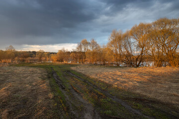 Rural landscape. Trees, bushes and the ground are illuminated by the rays of the setting sun. The sky is covered with blue clouds.