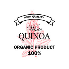 Quinoa vintage logo with hand drawn element. Vector illustration in sketch style