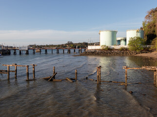Obraz premium plant in the harbor
