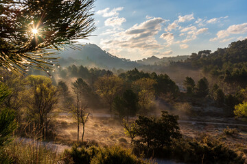 Landscape of forest and mountains with dawn mists in the natural park of Huetor Santillan, Granada.