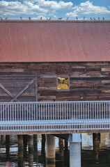 pigeons on a roof of a pier building