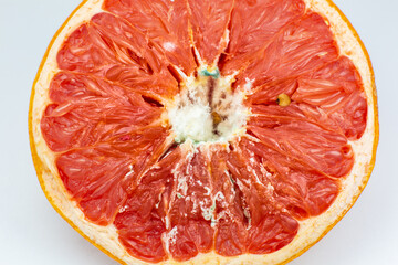 Moldy orange fruit. Rotten grapefruit. Bad conditions of preservation. Close up, Spoiled  food. Fungus illness.