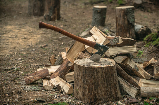 An axe with a wooden handle stuck in a wooden stump, harvesting firewood in the forest