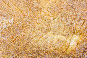 Roasted Bread texture background. Loaf Bakery concept. Close up, macro photo. Beautiful natural wallpaper.