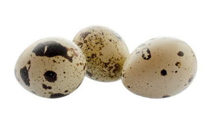 Quail eggs isolated on white background, top view. Quail egg set, close-up, top view. Small spotted quail eggs, set, macro photography. Quail eggs, top view, set.