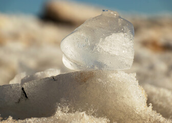 small transparent piece of ice, winter by the sea, pieces of ice