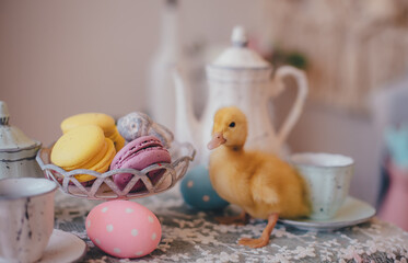 little yellow duckling on the easter table 