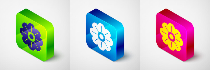 Isometric Flower icon isolated on grey background. Square button. Vector