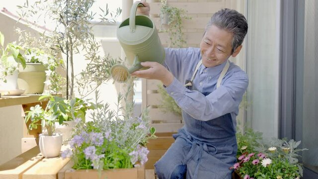 ベランダガーデニングするシニア男性　水やり