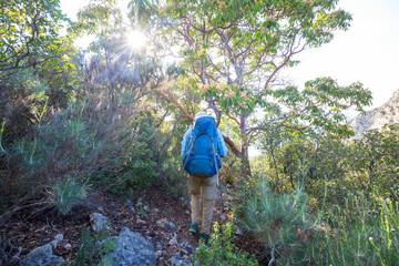 Hike in the forest